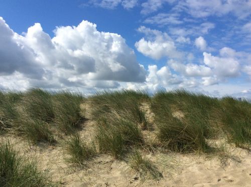beach dunes dune grass
