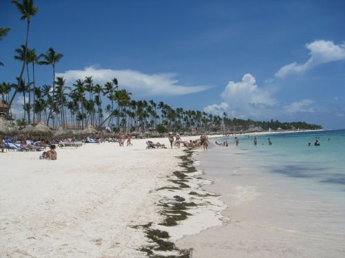 beach punta cana dominican