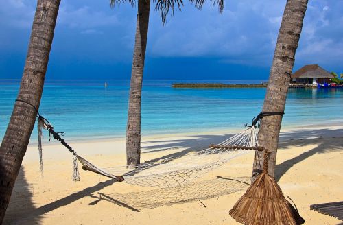beach hammock tropical