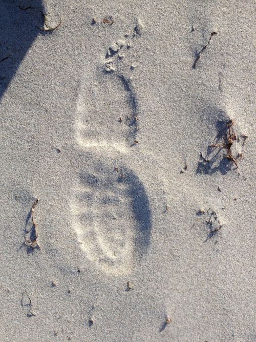 beach sand traces
