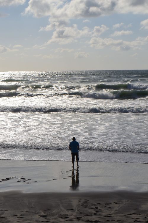 beach horizon ocean