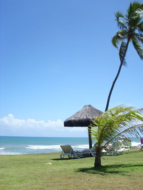 beach brazil ocean