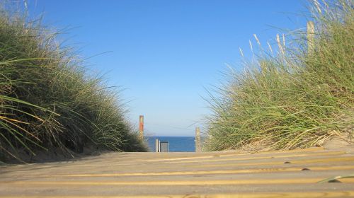 beach holiday summer