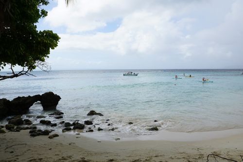 levantado island caribbean