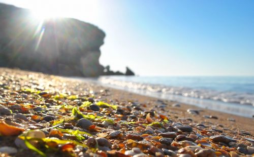 beach sea nature