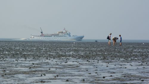 beach sea ship