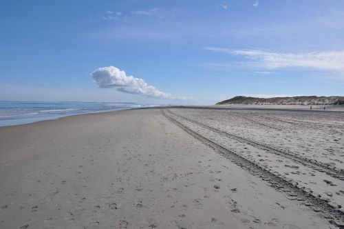 beach dunes dune