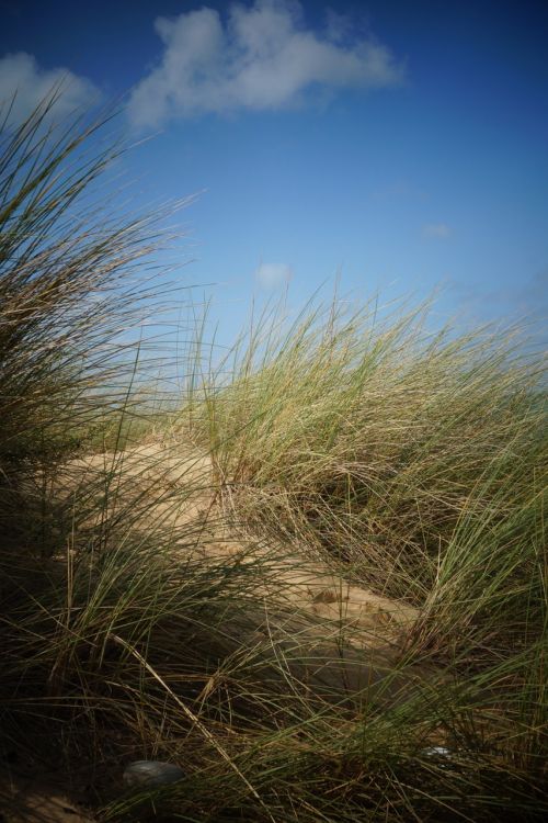 beach sand sky