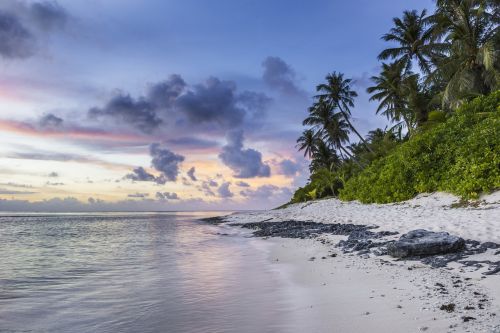 beach tropical shoreline