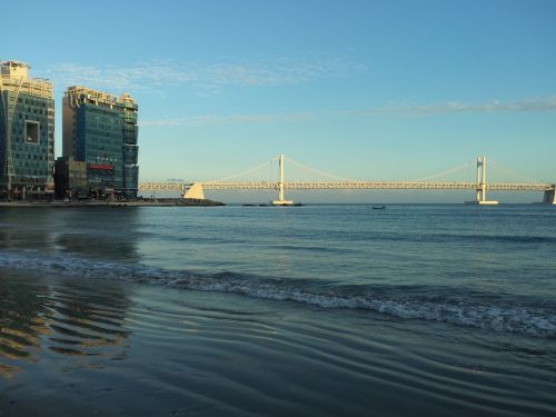 beach bridge busan