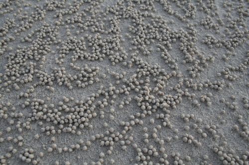 beach balls sand