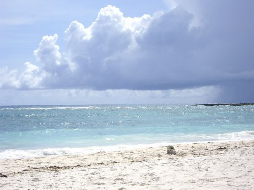 beach riviera maya mexico