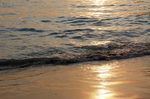 beach wave water