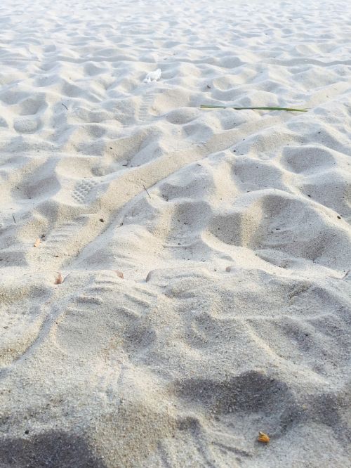 beach sand white sands