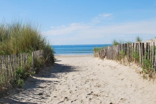 beach beach path sea