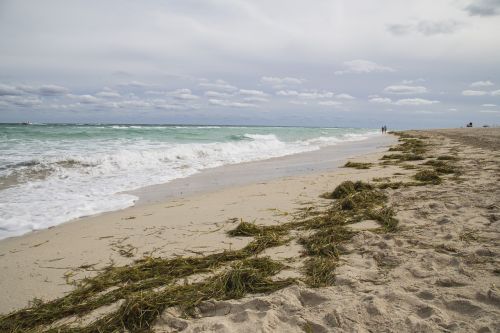 beach sand orange