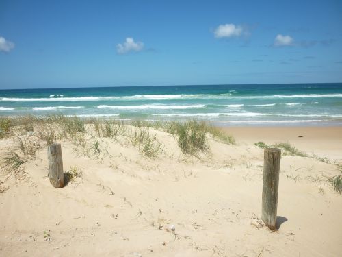 beach australia surf