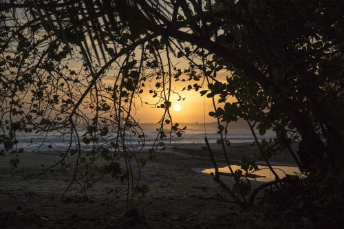 beach sunrise sunset
