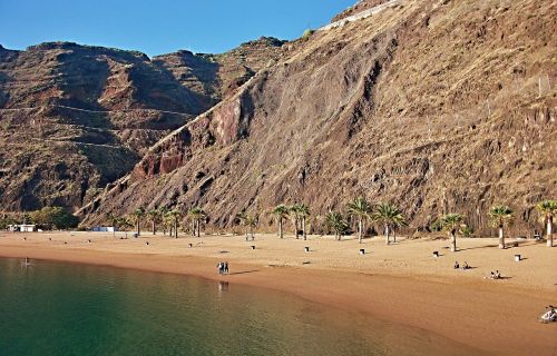 beach palm trees tenerife