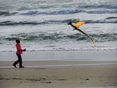 beach kite kite flying