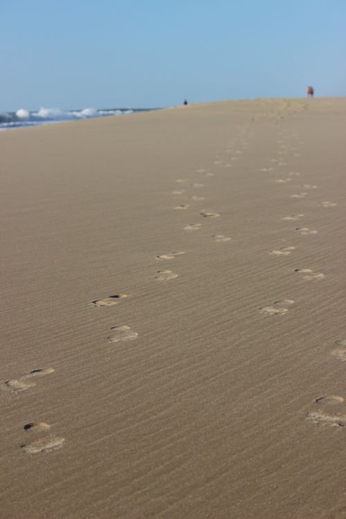 beach feet traces summer