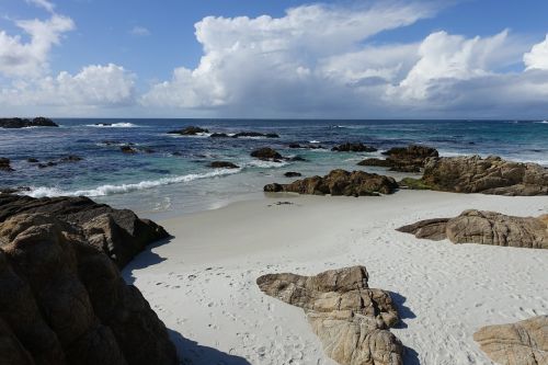 pebble beach west coast california
