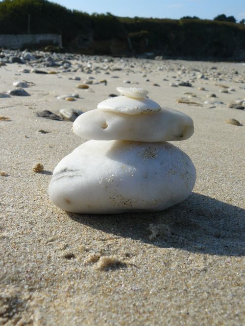 beach nature sea