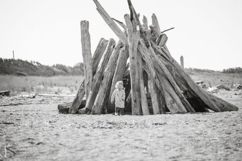 beach wood fort