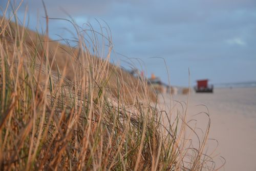 beach abendstimmung sea