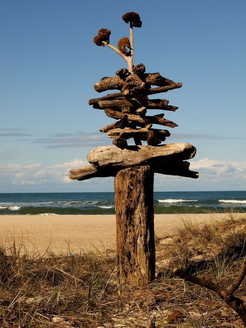 beach driftwood seascape
