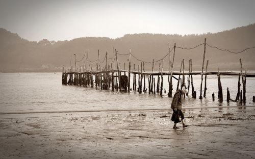 beach landscape