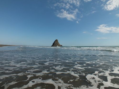 beach ocean rock