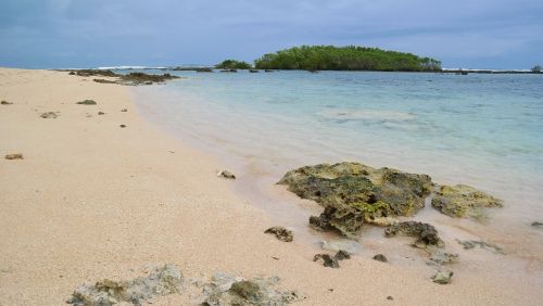 beach ocean tropics