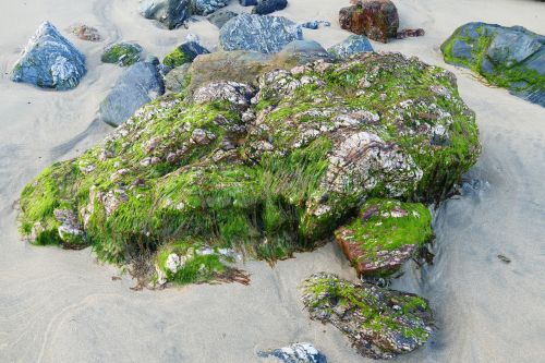 beach rock stone