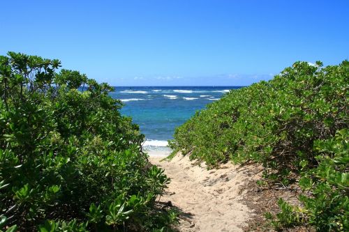 beach ocean landscape