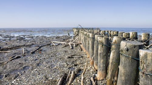 beach coast sea