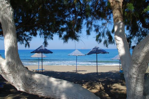 beach parasols summer