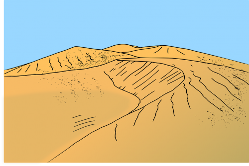 beach desert dune