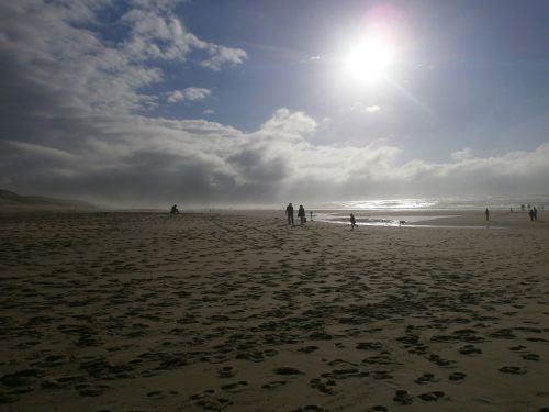 beach windy landscape