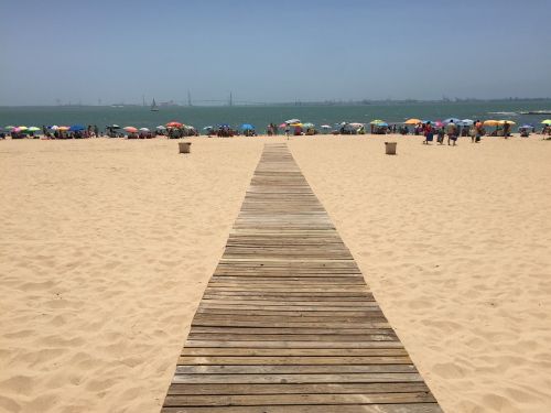 beach path coast