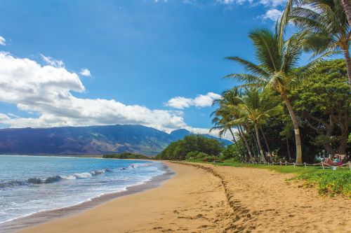 beach landscape hawaii