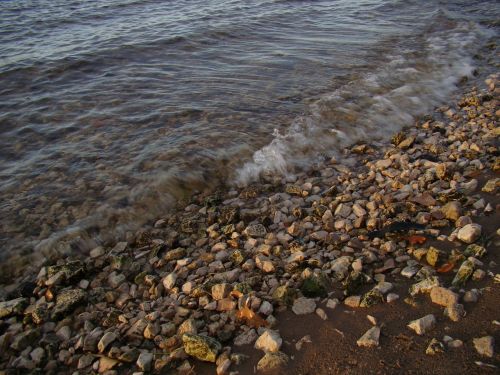 beach river stones