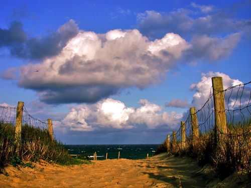 beach sea dunes