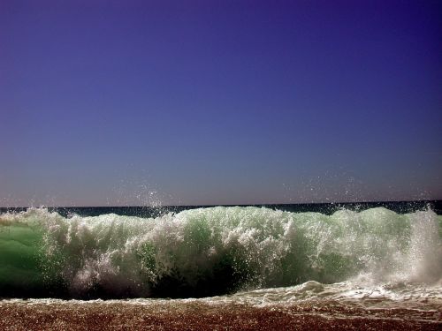 beach sea dunes