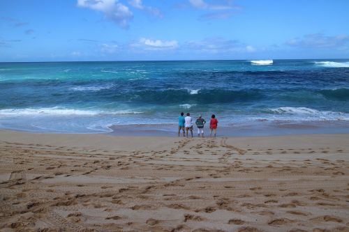 beach hawaii summer