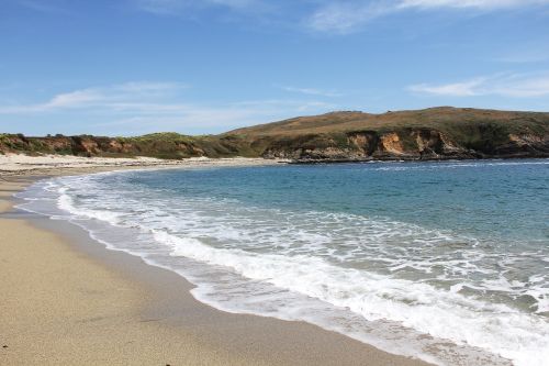 beach california bodega bay