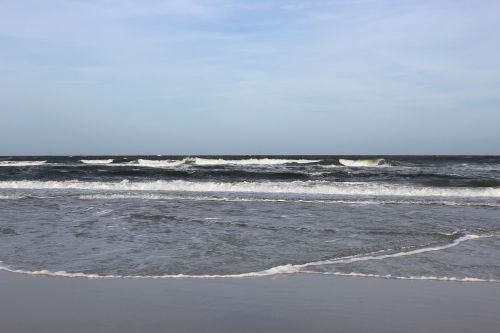 beach st augustine nature