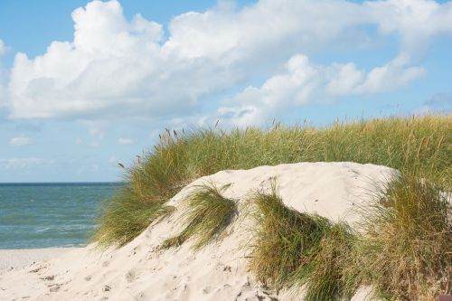 beach dunes sylt