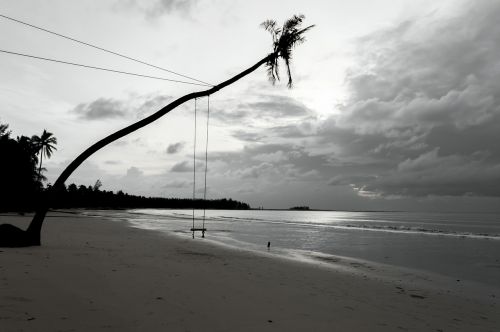 beach sea blue sky