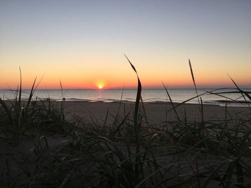 beach dune setting sun